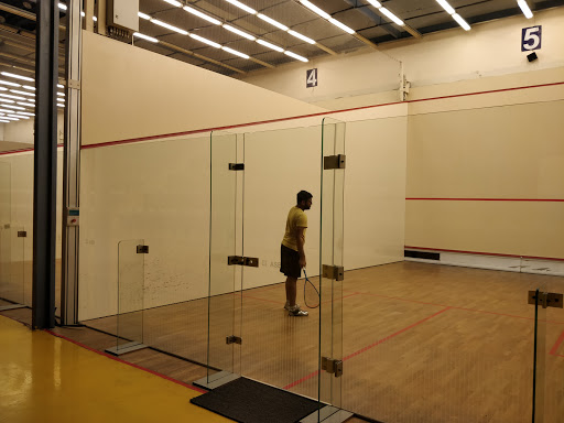 DDA Squash and Badminton Stadium