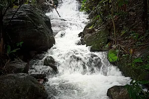 Kallampara chola Waterfall Wadakkanchery image