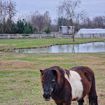 Photo n°4 de l'avis de Marco.u fait le 06/04/2022 à 15:49 sur le  Il Selgaro Agriturismo e Alloggi à Venice