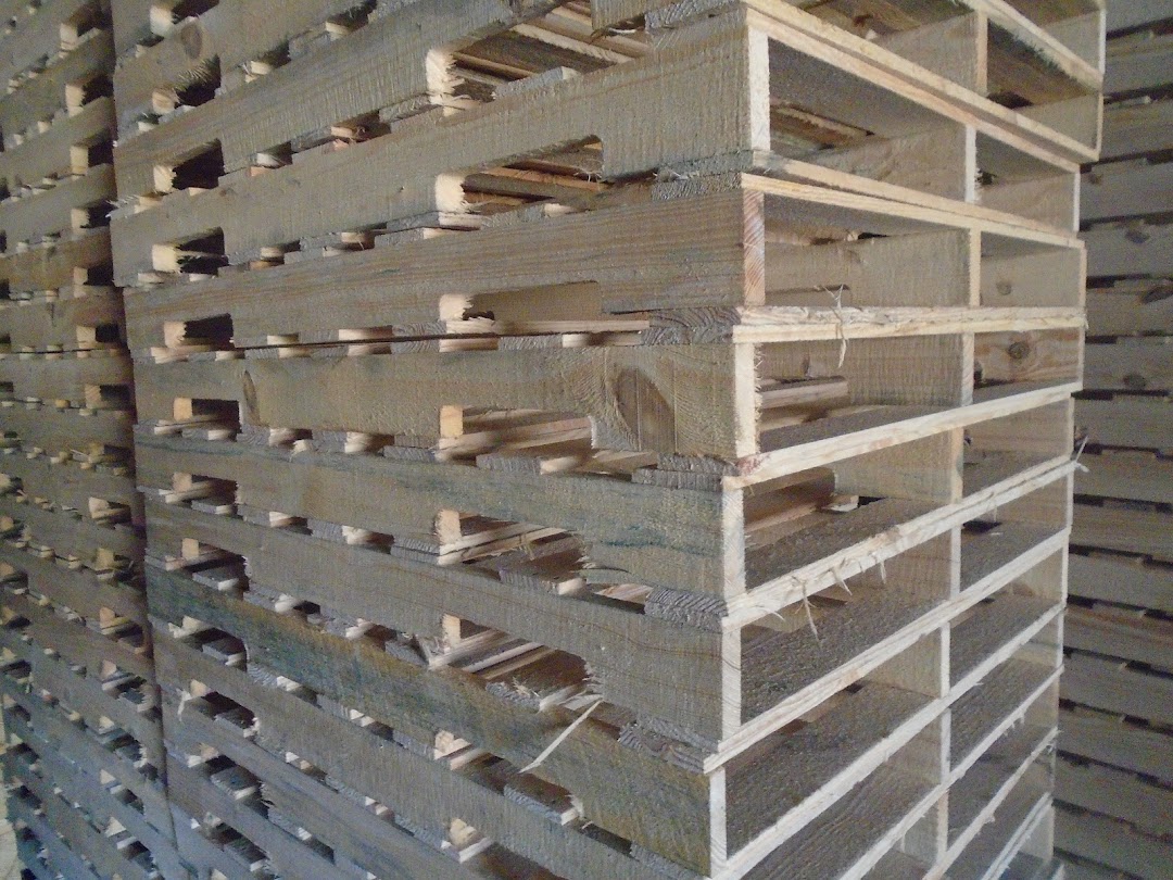 e-Pallet Inc.