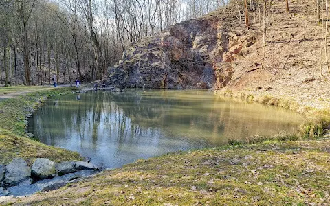 Bohnický rybník image