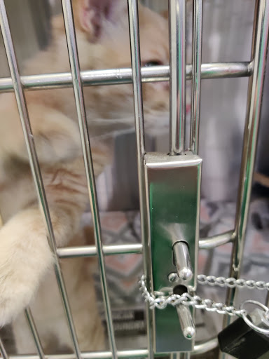 Pet Supply Store «PetSmart», reviews and photos, 73 RHL Blvd, South Charleston, WV 25309, USA