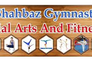 Shahbaz Gymnastics & Martial Arts and Fitness center image