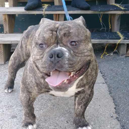 Pet Store «National Pet Center», reviews and photos, 726 Reservoir Ave, Cranston, RI 02910, USA