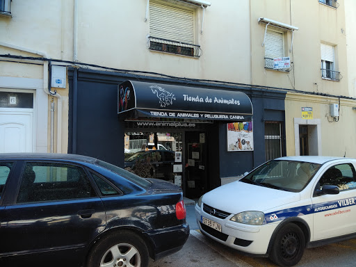 Tienda de Animales en Ontinyent, Valencia