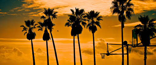 Wine Bar «Venice Beach Wines», reviews and photos, 529 Rose Ave, Venice, CA 90291, USA