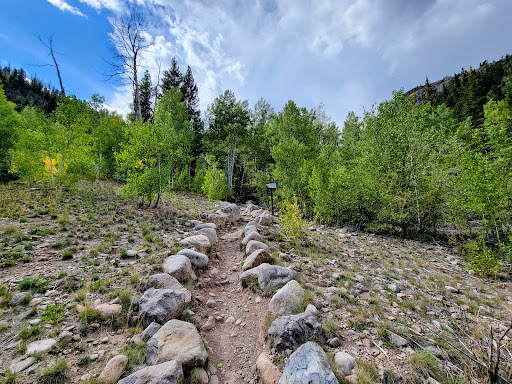 Lake Fork Trail #836