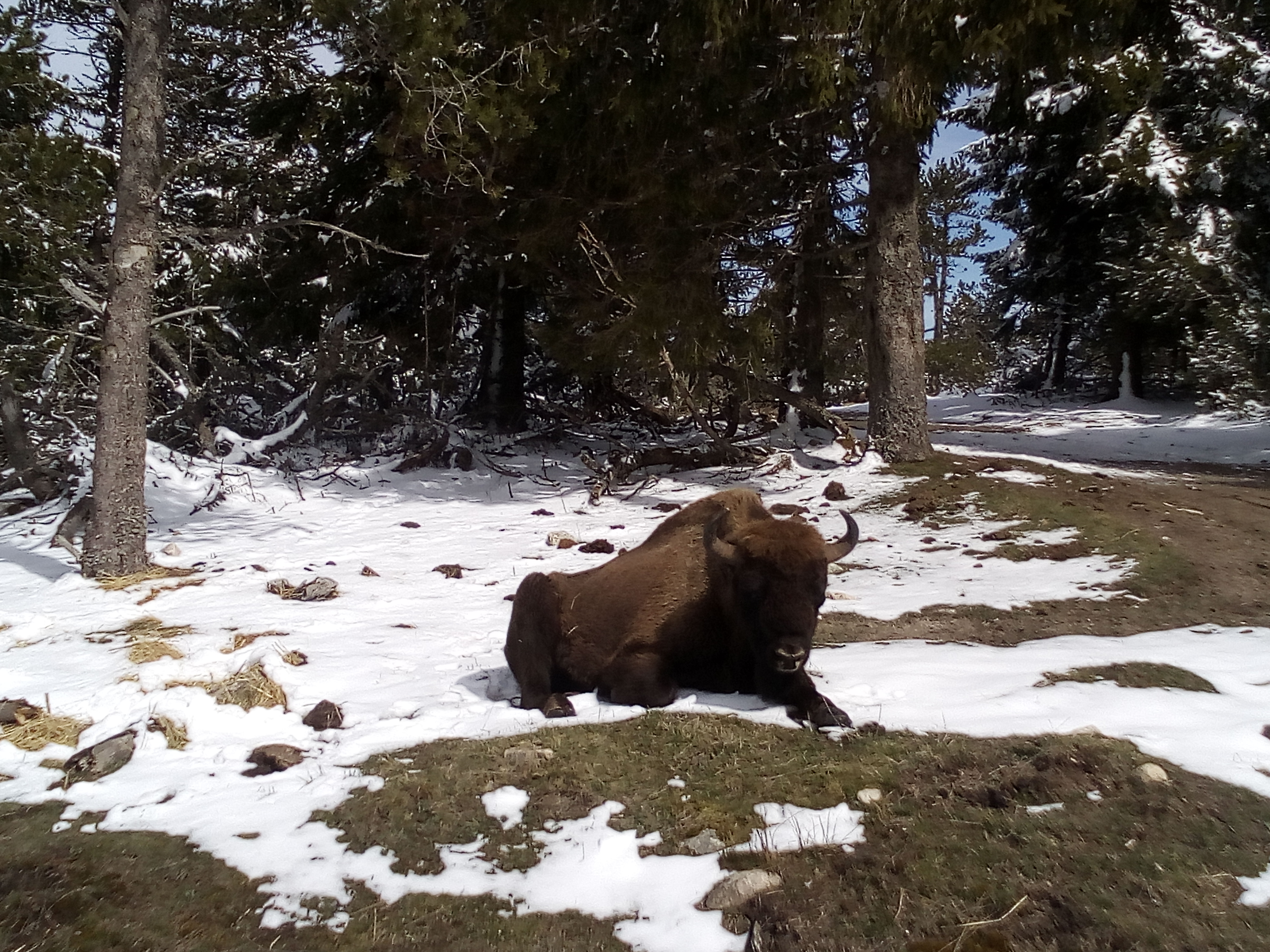 Photo n° 4 de l'avis de Sylvie.e fait le 05/04/2019 à 19:41