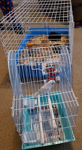 Pet Supply Store «Pet Supplies Plus», reviews and photos, 7041 Barker Cypress Rd, Cypress, TX 77433, USA