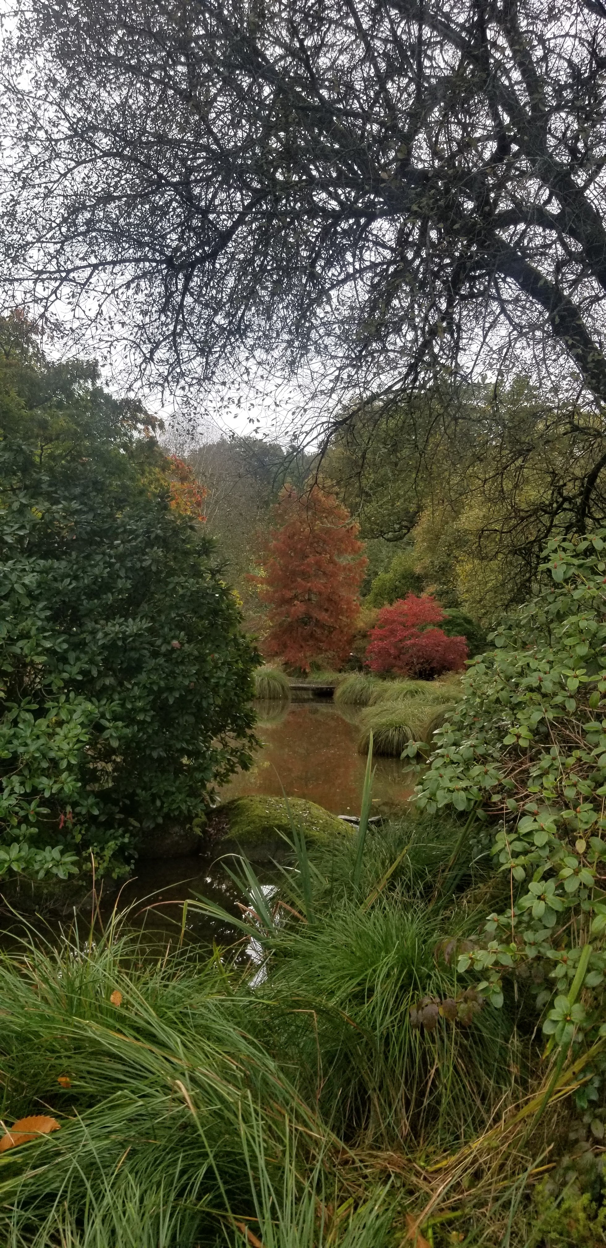 Photo n° 4 de l'avis de alain.a fait le 02/11/2022 à 17:26