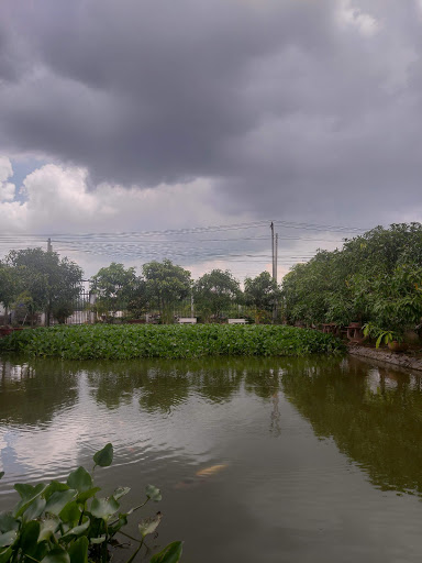 Gia Nguyễn Garden