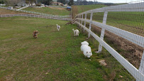 JC Pet Care - Photo 8 - Car repair in Winchester, CA, Hemet