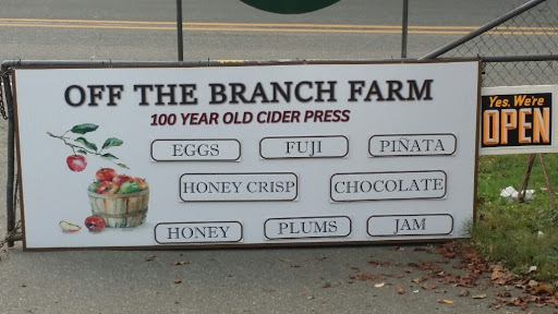 Print Shop «SpeedPro Imaging», reviews and photos, 11630 Slater Ave NE #5, Kirkland, WA 98034, USA