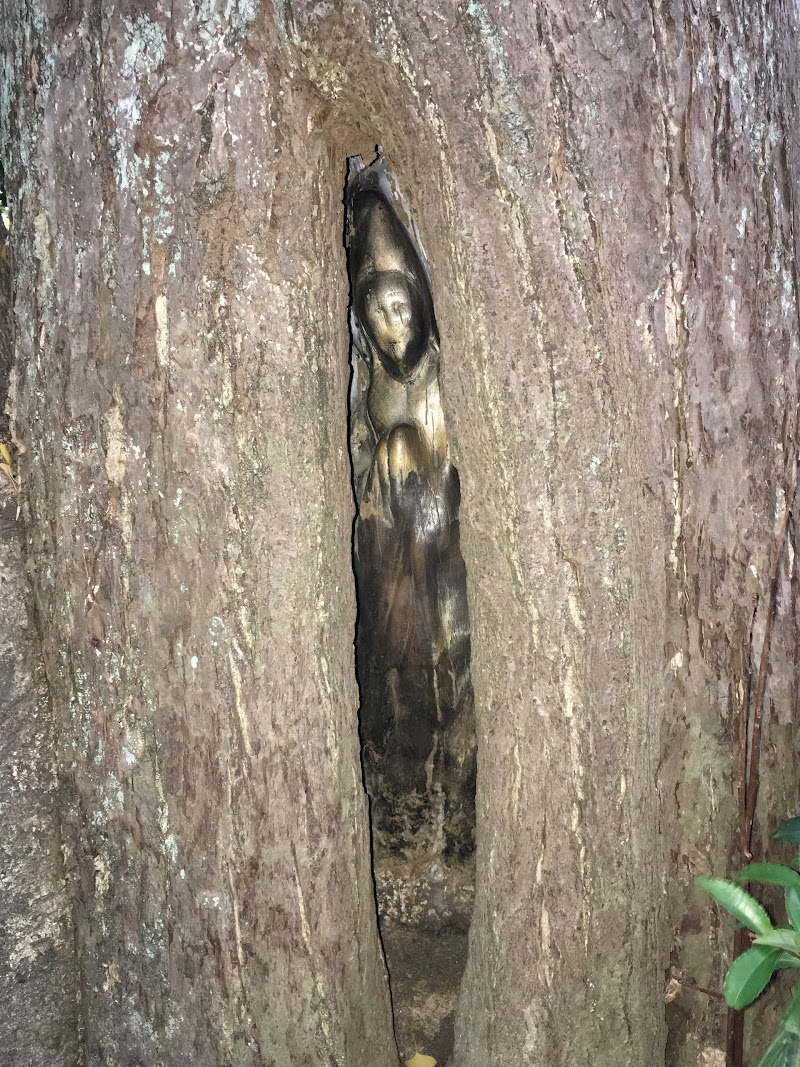 桑山公園立木仏 木喰上人作 山口県防府市桑山 グルコミ