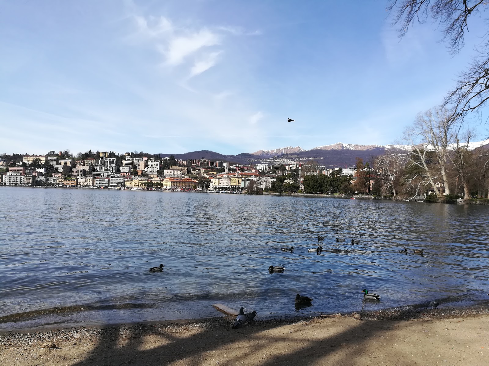Lido Hallenbad Weggis'in fotoğrafı ve güzel manzarası
