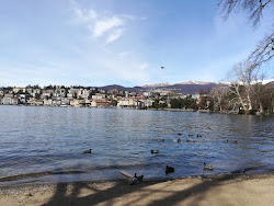 Lido Hallenbad Weggis'in fotoğrafı ve güzel manzarası