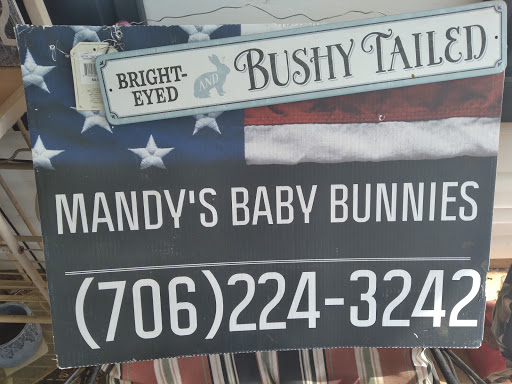 Supermarket «Publix Super Market at Winder Corners Shopping Center», reviews and photos, 17 Monroe Hwy a, Winder, GA 30680, USA