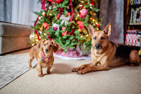 Amanda Swanson Photography - Photo 9 - Car repair in , Knoxville