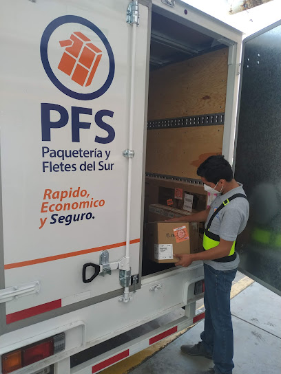 PFS Paquetería y fletes del sur Irapuato
