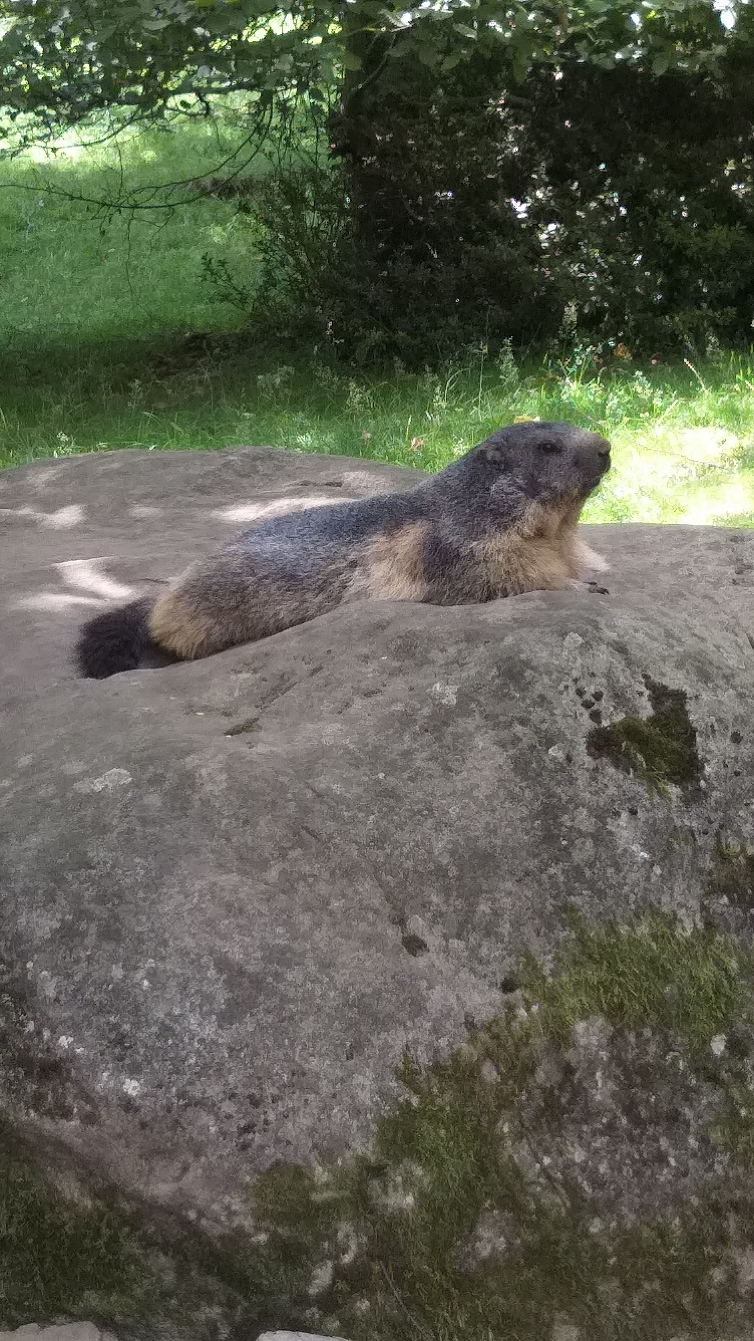 Photo n° 2 de l'avis de yannick.o fait le 30/07/2021 à 12:28