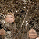 Photo n°2 de l'avis de Alejandra.r fait le 09/08/2021 à 21:11 sur le  Pizzica - Pinseria Romana à Riccione