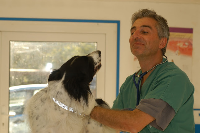 Prof. Dr. Vétérinaire Bernard Mignon - Luik