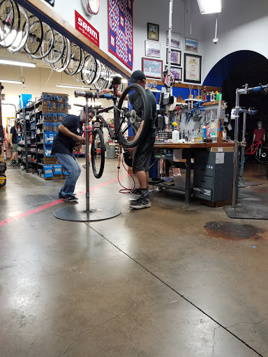Bicycle Store «Richardson Bike Mart», reviews and photos, 1451 W Campbell Rd, Richardson, TX 75080, USA