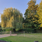 Photo n°18 de l'avis de EWelt.i fait le 22/08/2019 à 19:46 sur le  Landgasthaus Gut Lohof à Ratingen