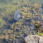 Photo n°1 de l'avis de Heike.r fait le 01/07/2023 à 11:05 sur le  Hafenimbiss Kap Orth à Fehmarn