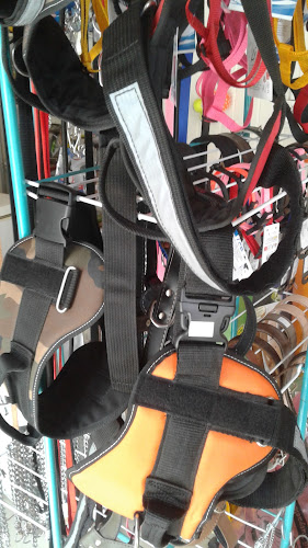 Akció 1 - Élelmiszerbolt - Élelmiszerüzlet