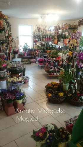 Értékelések erről a helyről: Kreatív Virág Ajándék, Maglód - Virágárus