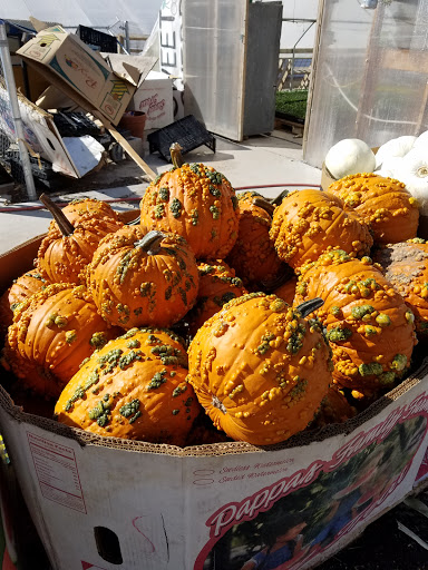 Produce Market «Kuwahara Farms», reviews and photos, 736 12300 S, Draper, UT 84020, USA