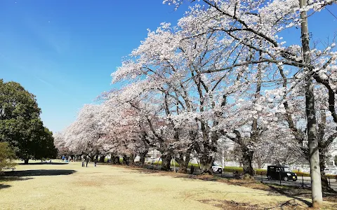 Sayama Inariyama Prefectural Park image