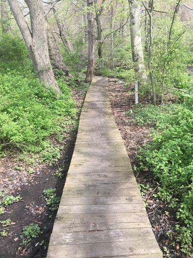 Nature Preserve «Brookside Preserve», reviews and photos, N Brookside Ave, Roosevelt, NY 11575, USA