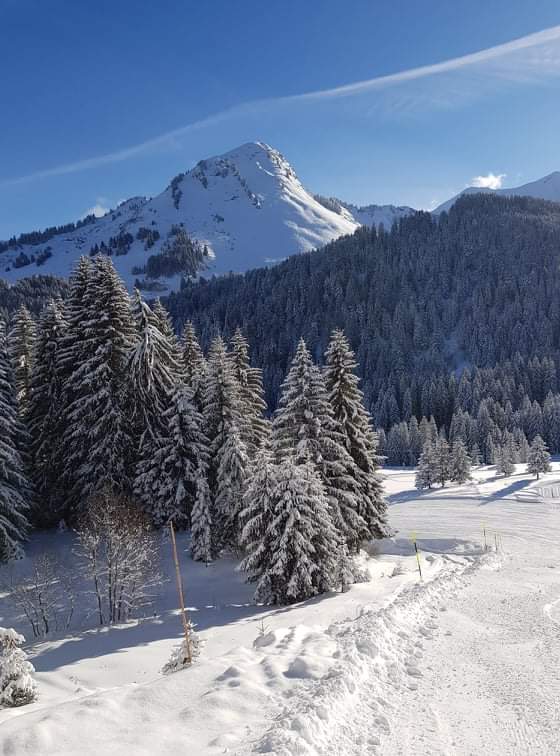 Photo n° 15 de l'avis de JG. fait le 22/07/2019 à 19:47