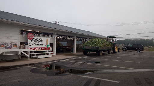 Produce Market «Stella Farms», reviews and photos, 459 Berlin New Freedom Rd, Berlin, NJ 08009, USA
