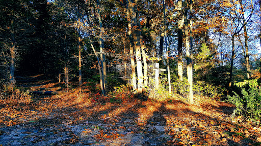 Park «West Hills County Park», reviews and photos, Sweet Hollow Rd, Melville, NY 11747, USA