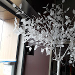 Photo n° 2 de l'avis de Patricia.a fait le 15/05/2019 à 08:35 pour Wok Grill 85 à La Roche-sur-Yon