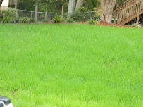 Superior Lawn And Landscaping, Inc.