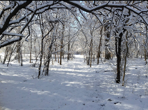 State Park «Brezina Woods», reviews and photos, N La Grange Rd, La Grange Park, IL 60526, USA