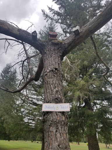 Golf Club «Snoqualmie Falls Golf Course», reviews and photos, 35109 SE Fish Hatchery Rd, Fall City, WA 98024, USA