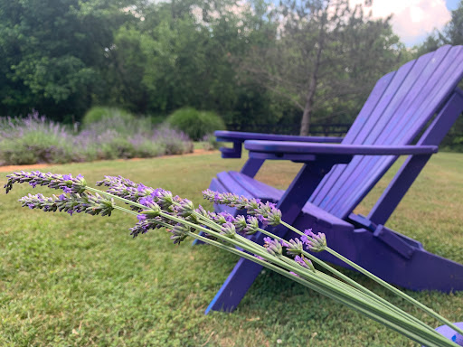 Farm «Blooming Hill Lavender Farm», reviews and photos, 19929 Telegraph Springs Rd, Purcellville, VA 20132, USA