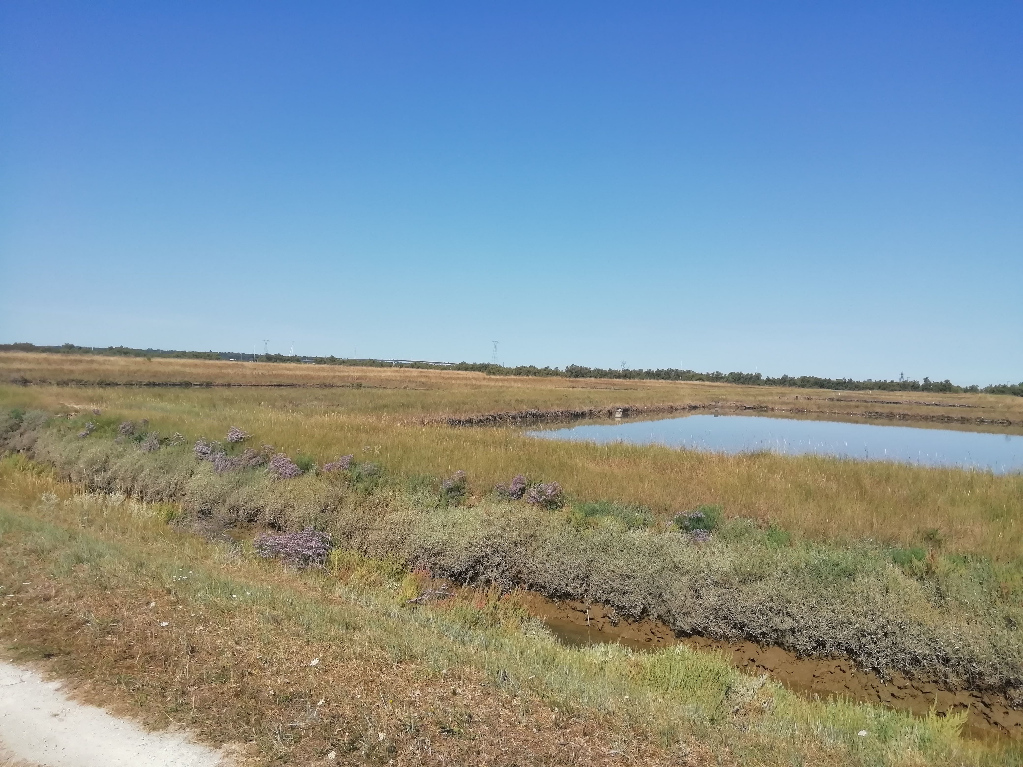 Photo n° 1 de l'avis de Surel.l fait le 08/08/2022 à 20:25