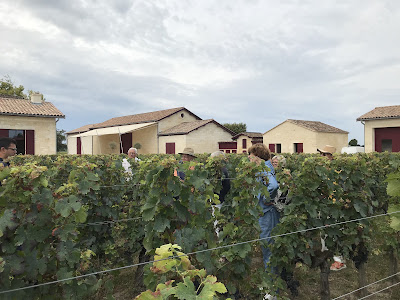 Clos des Abbesses - Entrée à Saint-Sulpice-de-Faleyrens