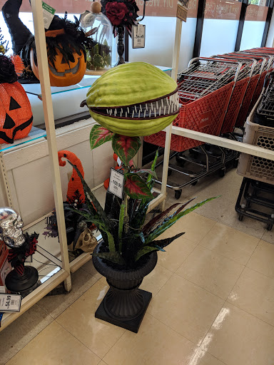 Craft Store «Michaels», reviews and photos, 2155 Zumbehl Rd, St Charles, MO 63303, USA