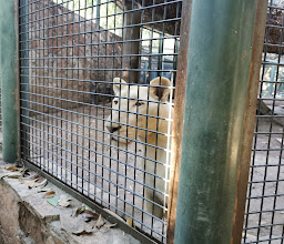 Parque Constitución photo