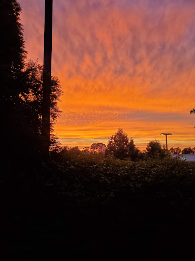 Produce Market «ShopRite of Aberdeen, NJ», reviews and photos, 318 Lloyd Rd, Aberdeen Township, NJ 07747, USA