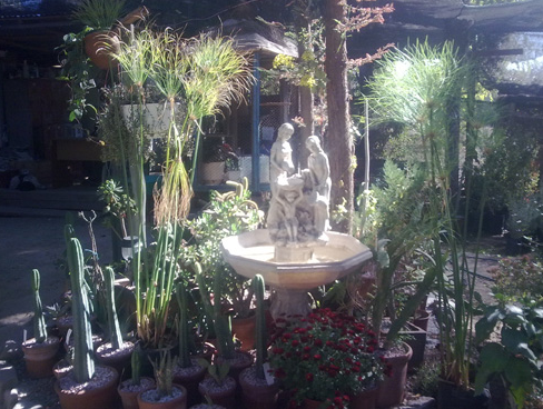 Opiniones de Jardín Santa Rosa de Apoquindo en Las Condes - Centro de jardinería