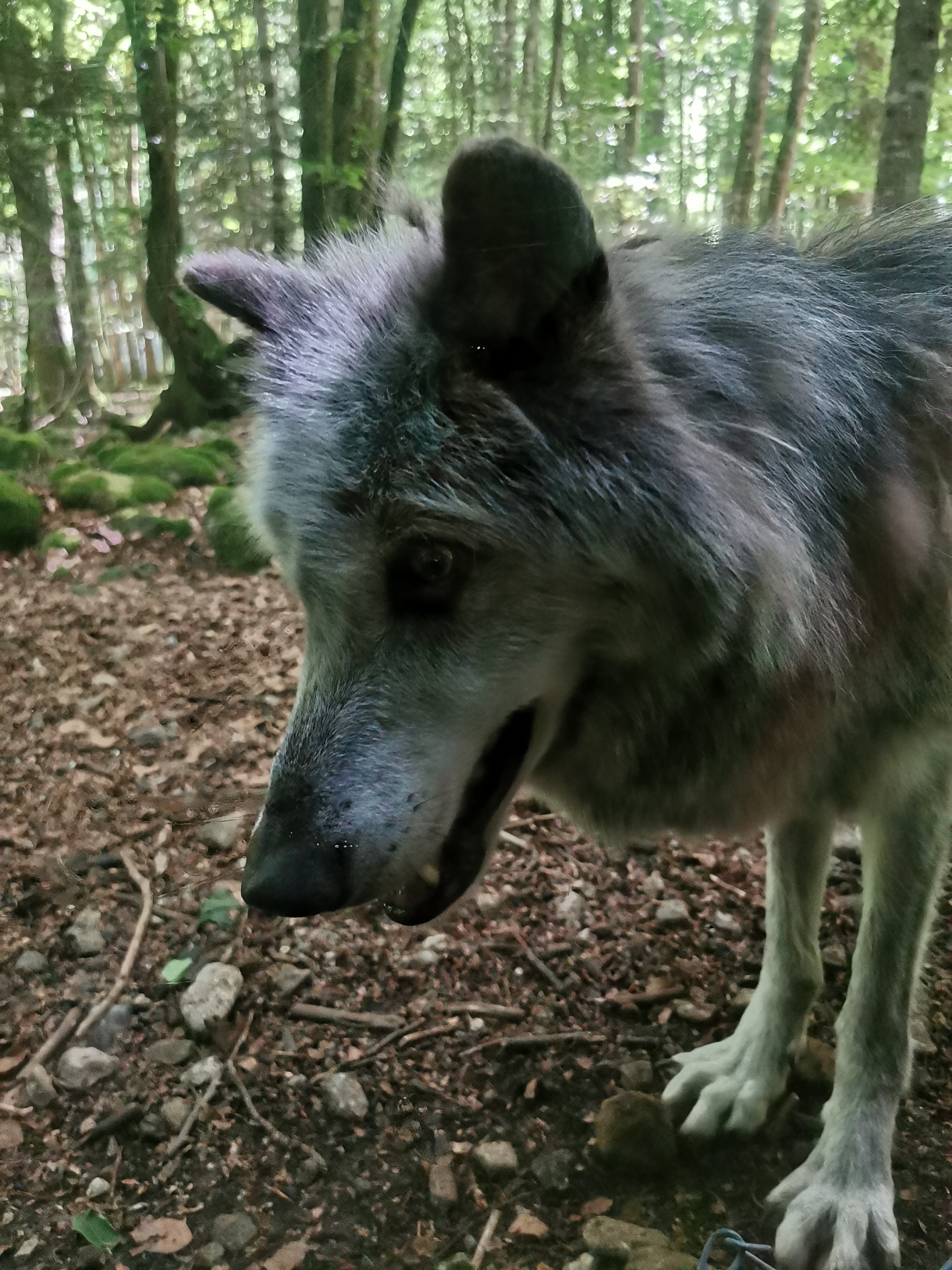 Photo n° 1 de l'avis de Marie.U fait le 04/06/2022 à 10:22