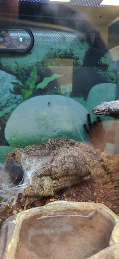 Pet Supply Store «Petsense Fort Worth», reviews and photos, 1408 Eastchase Pkwy #100, Fort Worth, TX 76120, USA